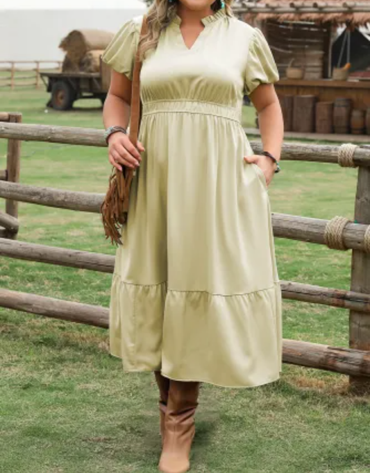 Puff Sleeve Dress